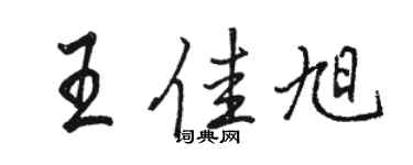 駱恆光王佳旭行書個性簽名怎么寫