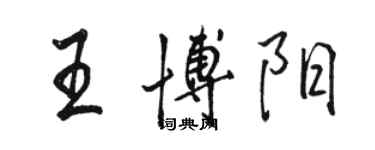 駱恆光王博陽行書個性簽名怎么寫