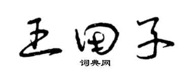 曾慶福王田子草書個性簽名怎么寫