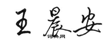 駱恆光王晨安行書個性簽名怎么寫