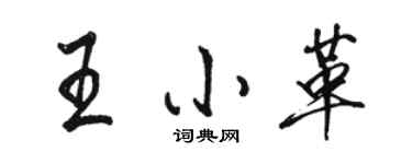駱恆光王小革行書個性簽名怎么寫