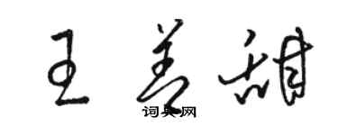 駱恆光王善甜草書個性簽名怎么寫