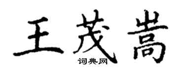 丁謙王茂嵩楷書個性簽名怎么寫