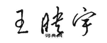 駱恆光王映宇草書個性簽名怎么寫