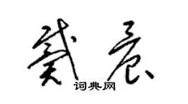 梁錦英戴晨草書個性簽名怎么寫