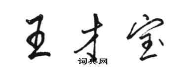 駱恆光王才寶行書個性簽名怎么寫