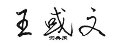 駱恆光王或文行書個性簽名怎么寫