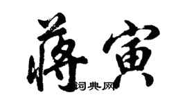 胡問遂蔣寅行書個性簽名怎么寫