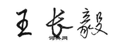 駱恆光王長毅行書個性簽名怎么寫