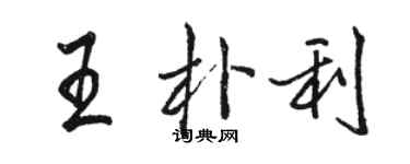 駱恆光王朴利行書個性簽名怎么寫