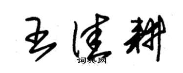 朱錫榮王佳耕草書個性簽名怎么寫