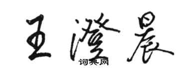 駱恆光王澄晨行書個性簽名怎么寫