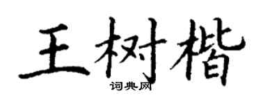 丁謙王樹楷楷書個性簽名怎么寫