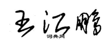 朱錫榮王江鵬草書個性簽名怎么寫
