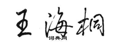 駱恆光王海桐行書個性簽名怎么寫