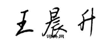王正良王晨升行書個性簽名怎么寫