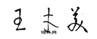 駱恆光王才美草書個性簽名怎么寫