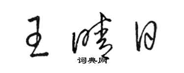 駱恆光王晴日草書個性簽名怎么寫