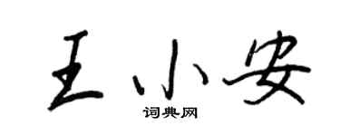 王正良王小安行書個性簽名怎么寫