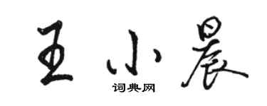 駱恆光王小晨行書個性簽名怎么寫