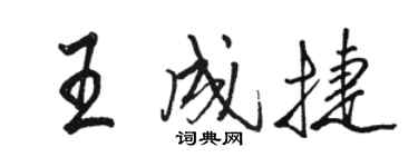 駱恆光王成捷行書個性簽名怎么寫