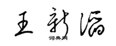 梁錦英王新滔草書個性簽名怎么寫
