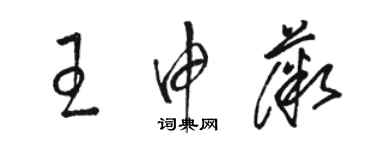 駱恆光王申薇草書個性簽名怎么寫