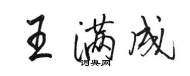 駱恆光王滿成行書個性簽名怎么寫