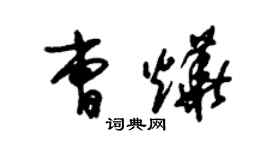 朱錫榮曹燁草書個性簽名怎么寫