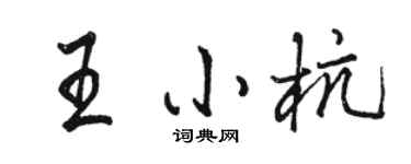 駱恆光王小杭行書個性簽名怎么寫