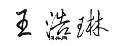 駱恆光王浩琳行書個性簽名怎么寫