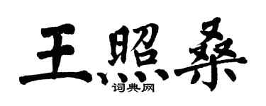 翁闓運王照桑楷書個性簽名怎么寫
