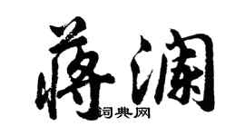 胡問遂蔣瀾行書個性簽名怎么寫