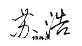 駱恆光蘇浩行書個性簽名怎么寫