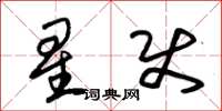 朱錫榮星使草書怎么寫