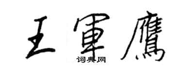 王正良王軍鷹行書個性簽名怎么寫