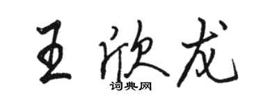 駱恆光王欣龍行書個性簽名怎么寫