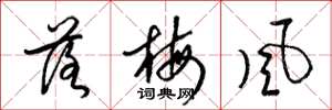 梁錦英落梅風草書怎么寫