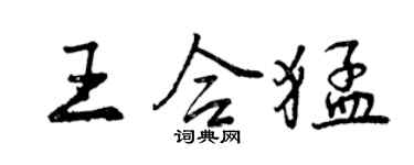 曾慶福王合猛行書個性簽名怎么寫