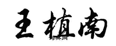 胡問遂王植南行書個性簽名怎么寫