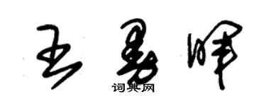 朱錫榮王曼暉草書個性簽名怎么寫
