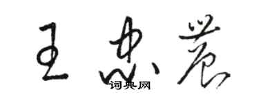 駱恆光王忠農草書個性簽名怎么寫