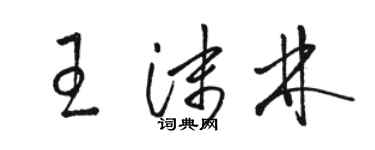 駱恆光王沫林草書個性簽名怎么寫