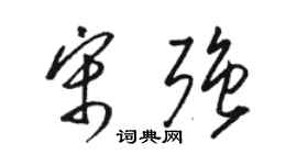 駱恆光宋強草書個性簽名怎么寫