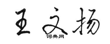 駱恆光王文揚行書個性簽名怎么寫