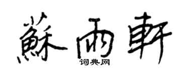 王正良蘇雨軒行書個性簽名怎么寫