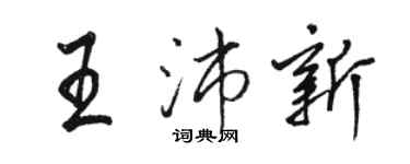 駱恆光王沛新行書個性簽名怎么寫