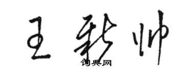 駱恆光王新帥草書個性簽名怎么寫