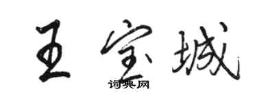 駱恆光王寶城行書個性簽名怎么寫