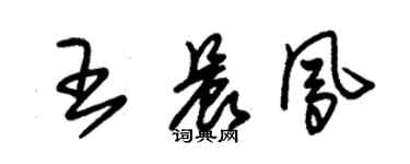 朱錫榮王晨鳳草書個性簽名怎么寫